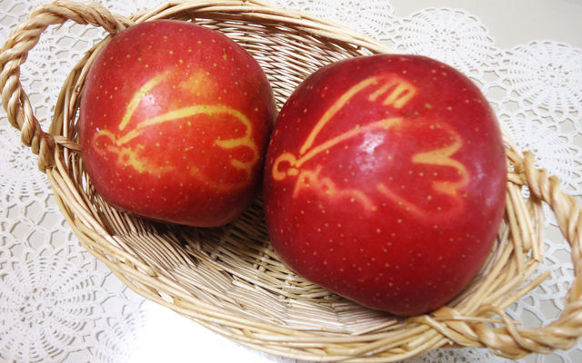 徳島県鳴門市 とみなが歯科医院｜りんごを頂きました