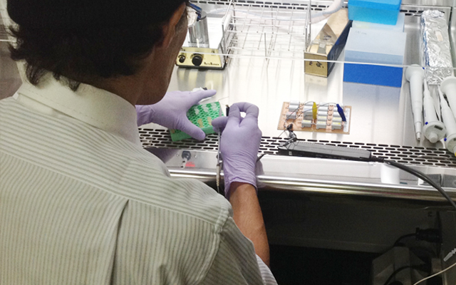 徳島県鳴門市 とみなが歯科医院｜徳島大学で実験を行いました