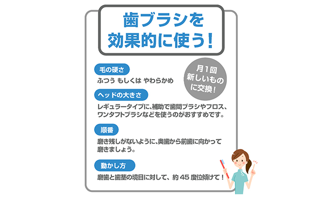 徳島県鳴門市 とみなが歯科医院｜感染予防対策～歯みがき編vol.2～