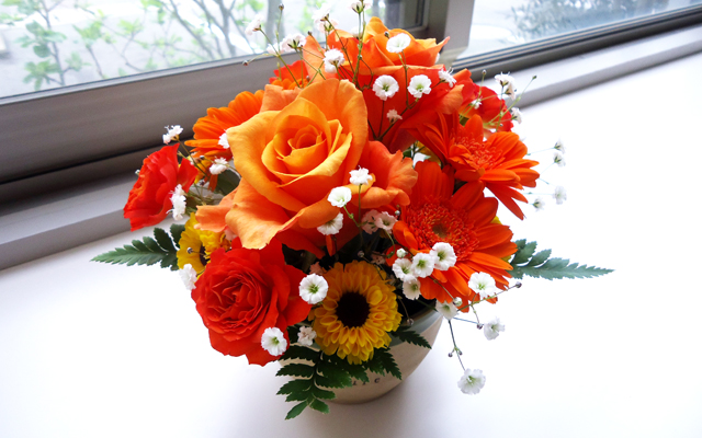 徳島県鳴門市 とみなが歯科医院｜今週のお花